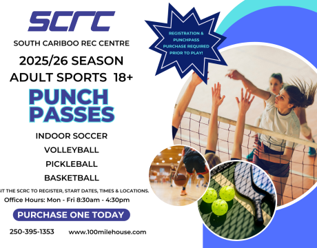 Adult Sports Punch Pass