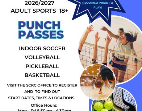 Adult Sports Punch Passes